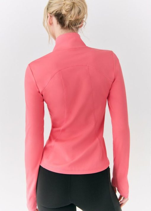 Wearishere.shop77ccca540d 4